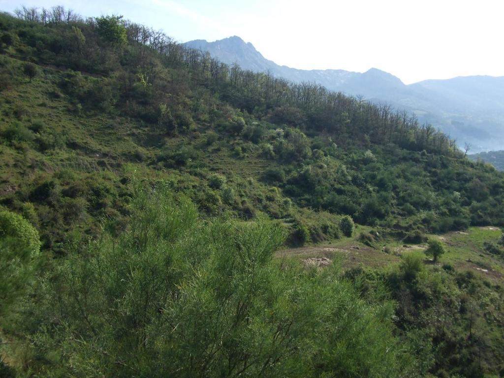 La Anjana Ojedo Hotel Potes Bagian luar foto